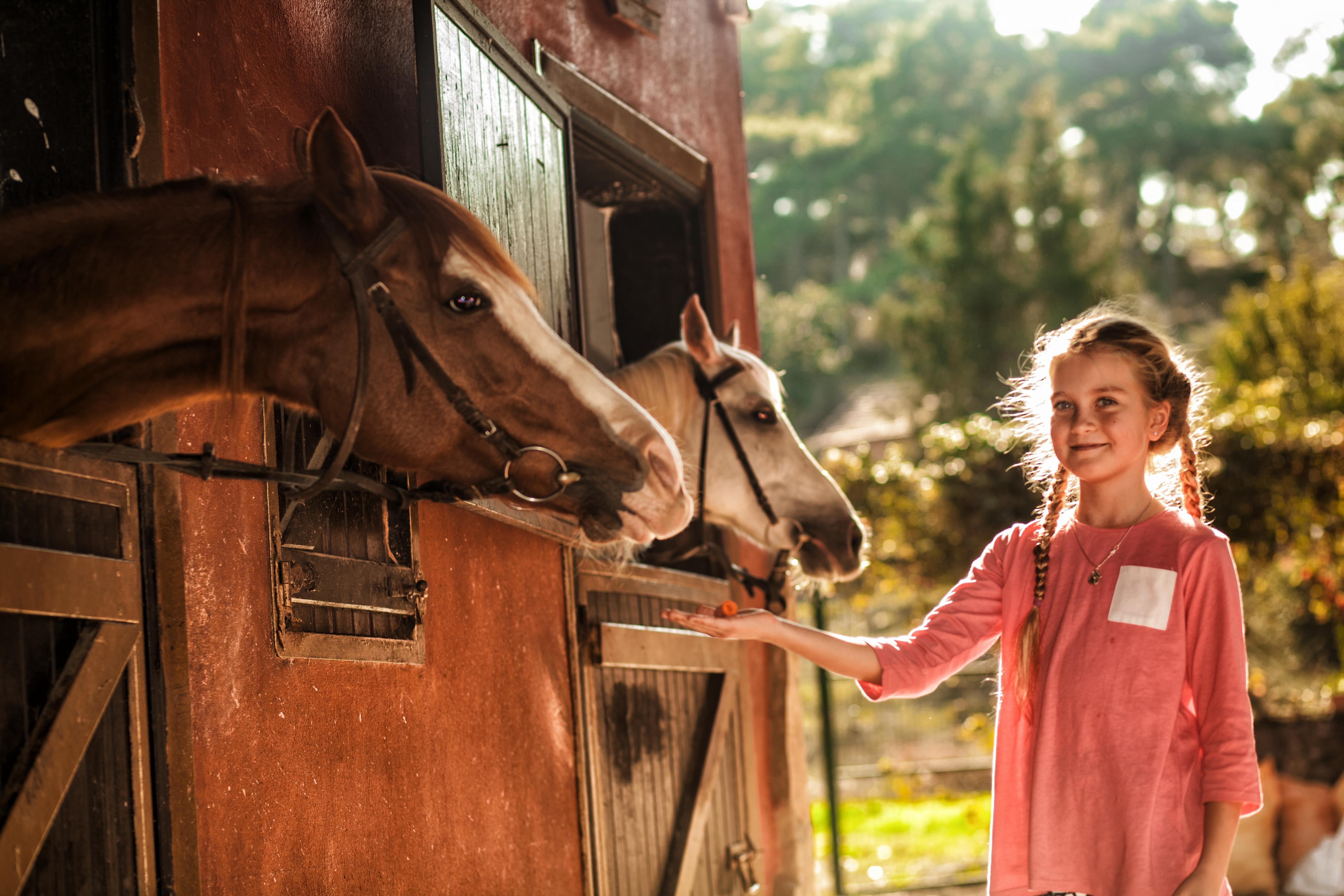 Hotel Berke Ranch&Nature Kemer Exterior photo