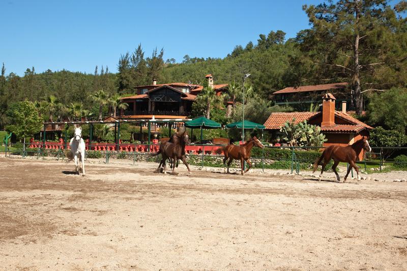 Hotel Berke Ranch&Nature Kemer Exterior photo